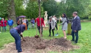 10 000e arbre planté à Châlons-en-Champagne
