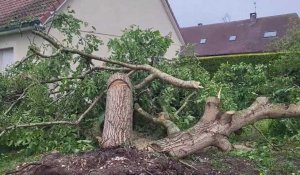 Criquebeuf-sur-Seine. Images et témoignages après le passage de la mini-tornade