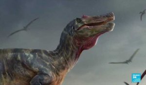 Le plus grand dinosaure du continent européen découvert en Angleterre