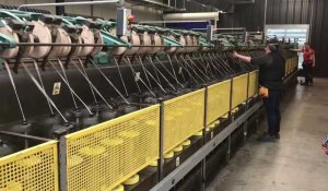 Béthune : Safilin a lancé sa production, une filature de lin de retour dans le Nord