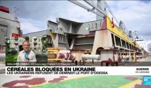 Céréales bloquées en Ukraine : les Ukrainiens refusent de déminer le port d'Odessa