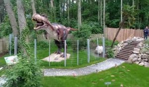 À Coudekerque-Branche, le Dino Parc ouvre ses portes fin juin - Le Phare  dunkerquois