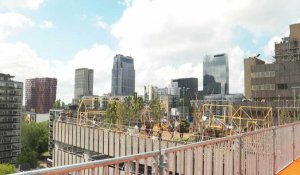A Rotterdam, l'avenir de l'urbanisme sur les toits des immeubles