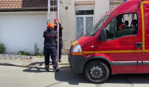 Abeilles, guêpes, frelons : les pompiers communautaires de Béthune-Bruay à votre secours