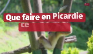Que faire en Picardie ce week-end des 21 et 22 mai 2022?