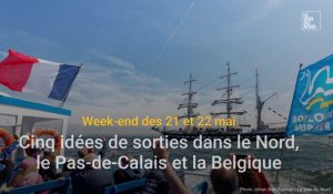 Cinq idées de sorties dans le Nord et le Pas-de-Calais les 21 et 22 mai