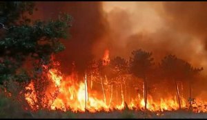 Incendies en Gironde: 11.000 personnes évacuées et 7.700 hectares ravagés