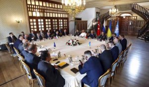 Céréales ukrainiennes : l'ONU optimiste vis-à-vis des négociations russo-ukrainiennes