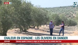 En Espagne, la culture des olives menacée par le soleil de plomb