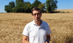 Agriculture. Sébastien Windsor : "en Normandie, la moisson 2022 est exceptionnelle"