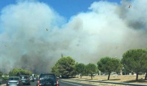 Portugal, France : nouveaux feux de forêt sur fond de canicule