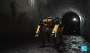 Italie: Spot, le chien-robot qui explore les ruines de Pompéi