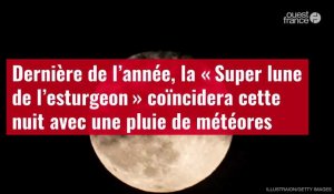 VIDÉO. Dernière de l’année, la « Super lune de l’esturgeon » coïncidera cette nuit avec une pluie de météores
