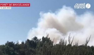 VIDÉO. Incendie à Brocéliande : les bombardiers d'eau entrent en action