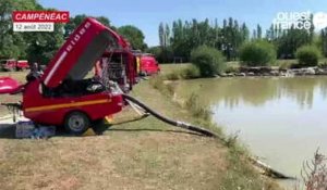 VIDÉO. Incendie à Brocéliande : les pompiers et agriculteurs pompent l'eau à Campénéac
