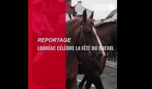 VIDÉO. Fête du cheval à Loudéac 