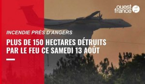 VIDÉO. Plus de 150 hectares détruits par le feu près d'Angers, 130 pompiers mobilisés