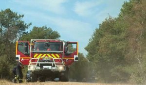 Incendies en Bretagne: les pompiers à pied d'œuvre dans la forêt de Brocéliande