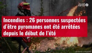 VIDÉO. Incendies : 26 personnes suspectées d’être pyromanes ont été arrêtées depuis le début de l'été