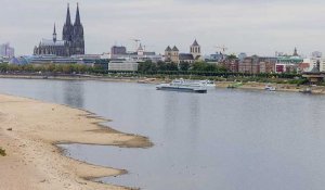 Allemagne : l'assèchement du Rhin perturbe le transport de marchandises