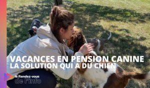 Vacances en pension canine : la solution qui a du chien