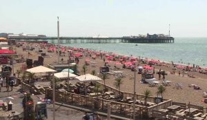 Royaume-Uni : les Britanniques profitent de la plage et la mer à Brighton malgré la chaleur record