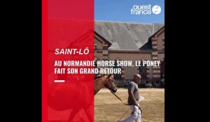 VIDÉO. Après sept ans d’absence, l’élevage de poneys fait son retour au Normandie Horse Show 