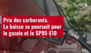 VIDÉO. Prix des carburants : la baisse se poursuit pour le gazole et le SP95-E10