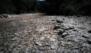 Restrictions d'eau et incendies : les effets de la sécheresse