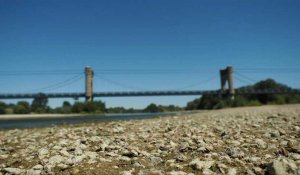 Sécheresse: la Loire si basse qu’elle se traverse à pied