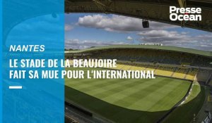 VIDÉO. À Nantes, le stade de la Beaujoire fait sa mue pour l'international, football et rugby : la pelouse