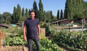 Aux jardins ouvriers de Marly, les jardiniers luttent contre la chaleur et la sécheresse