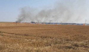 Impressionnant feu de champs à Simencourt, 45 hectares partis en fumée