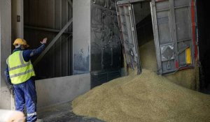 Exportations des céréales ukrainiennes : un accord trouvé