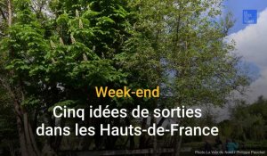 Cinq idées de sorties familiales dans les Hauts-de-France