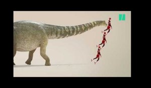L'Australotitan cooperensis découvert, l'un des plus grands dinosaures au monde