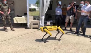 Spot, le « chien » robot