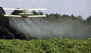 Suisse : votation sur l'utilisation des pesticides et la qualité de l'eau