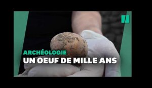Un oeuf de poule vieux de 1000 ans retrouvé intact en Israël