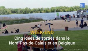Cinq idées de sorties dans le Nord et le Pas-de-Calais les 12 et 13 juin