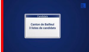 Départementales - Les candidats dans le canton de Bailleul
