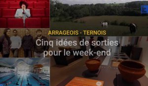 Cinq idées de sorties pour le week-end dans l'Arrageois et le Ternois