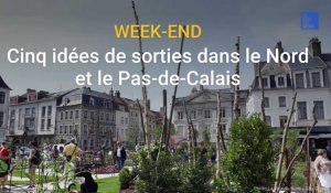 Cinq idées de sorties dans le Nord et le Pas-de-Calais les 19 et 20 juin