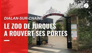 VIDÉO. Le zoo de Jurques a rouvert ses portes à Dialan-sur-Chaîne