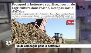 Fin de campagne pour la betterave