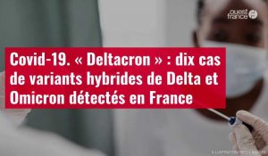 VIDÉO. « Deltacron » : dix cas de variants hybrides de Delta et Omicron détectés
