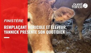 VIDÉO. Éleveur et remplaçant agricole dans le Finistère, Yannick présente son troupeau