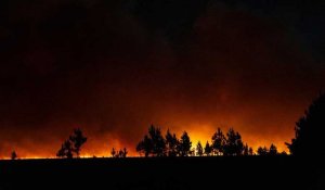 Argentine : des incendies dévastateurs frappent la province de Corrientes