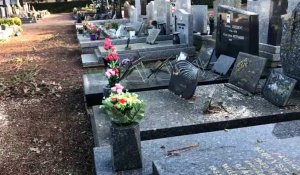 Verlinghem : des dégâts dans le cimetière après la tempête Eunice
