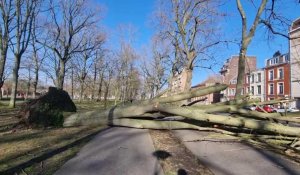 Lille : après la tempête Eunice, l'heure est au bilan